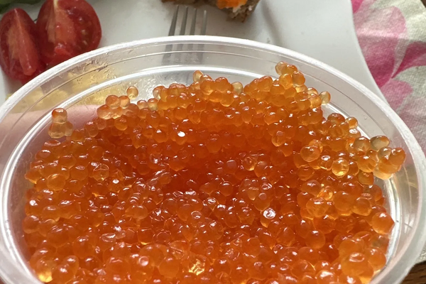 Токтогул районунда жеке ишкер форель икрасын чыгаруучу цех долбоорун сунуштады