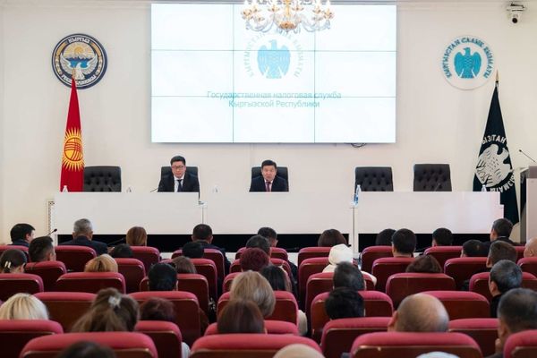 2026-жылы  Салык кызматынын миң кызматкери ишинен кыскарат