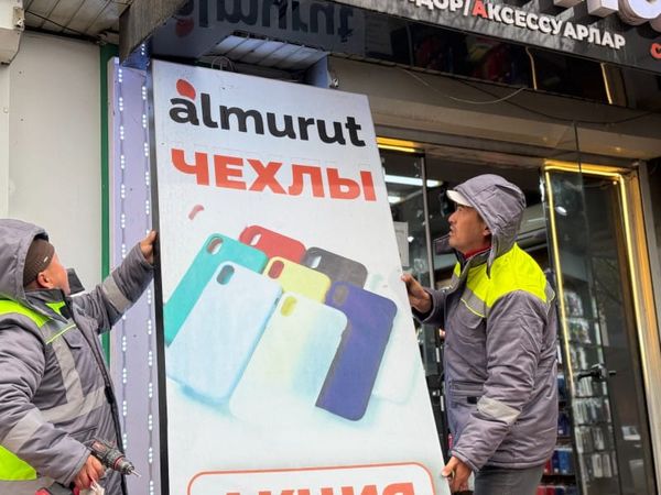 Бишкекте 126 мыйзамсыз жарнама демонтаждалып, 40 миң сом айып салынды