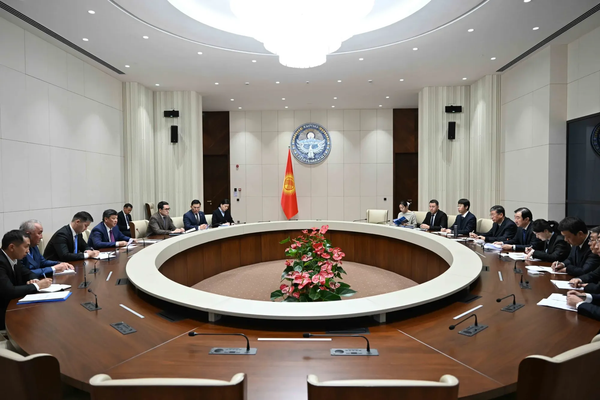 Келечекте Суусамырдагы алтыгана бадалын кайра иштетип, тоют, жер семирткич чыгарылат