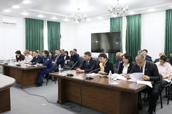 ӨКМ ишмердүүлүгүндөгү финансылык бузуулар аныктады