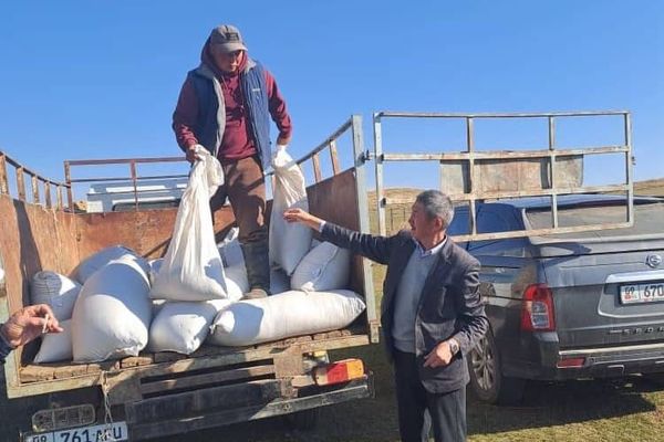 Өлкө боюнча 3,2 миң гектар жайытка чөп үрөндөрү себилди