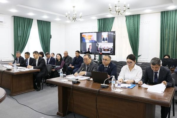 Мамлекеттик мүлктү башкаруу агенттигинин ишинде олутуу көйгөйлөр аныкталды