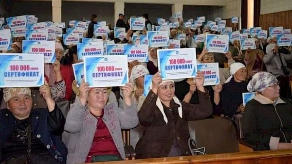 Социалдык келишим долбоору: 9 айым 9 миллион сом киреше таап миллионер болушту