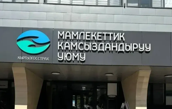 Мамлекеттик камсыздандыруу уюму 11 айда 127,6 млн сомдон ашык компенсация төлөдү