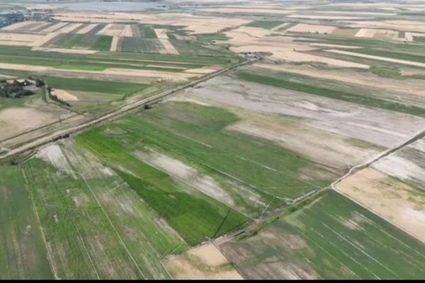 Алынган айыл чарба багытындагы жерлердин компенсация нормативдери жаңыртылат