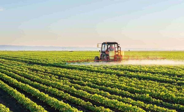 Айыл чарба өсүмдүктөрүн спутниктен картографиялоого 6 млн. 791,9 млн сом бөлүнөт