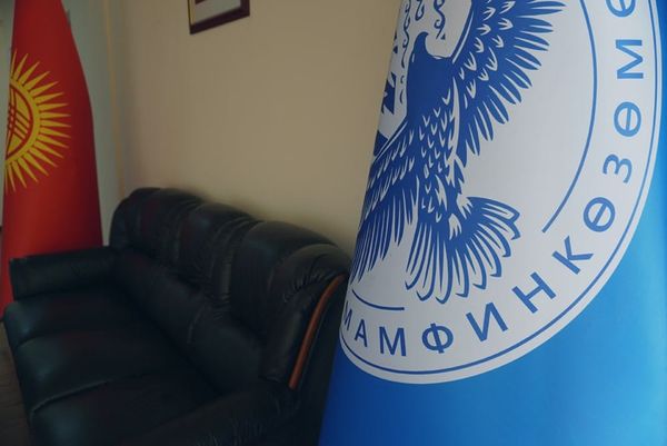 Финкөзөмөл мыйзамсыз лотерея тараткан платформалардын тизмесин жарыялады