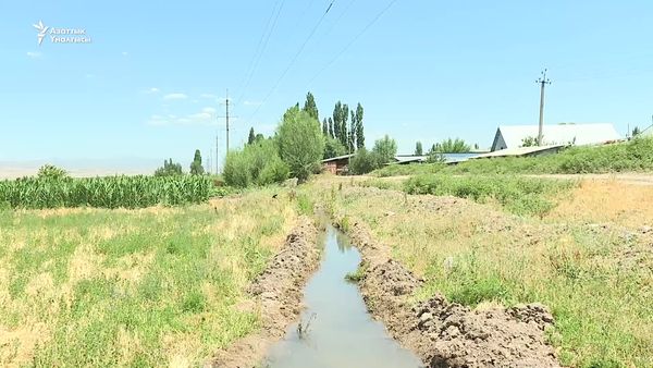 А.Жээналиев: "Климаттын өзгөрүшү суу экосистемасына олуттуу коркунуч жаратып жатат"