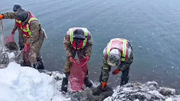 Ысык-Көлдөн 2023-жылдан бери 43 миң тоннадан ашык таштанды алынды