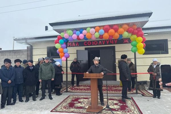 Ак-Талаа районунда 220 бодо мал, 1500 кой, эчки бордой турган комплекс ачылды