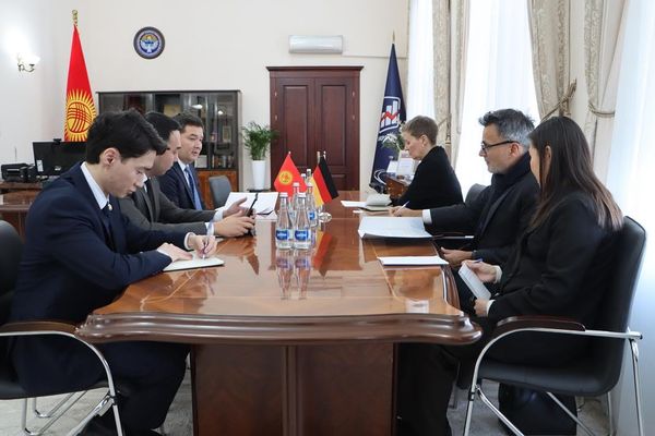 Экономика министри Германия элчиси менен экономикалык кызматташууну талкуулады