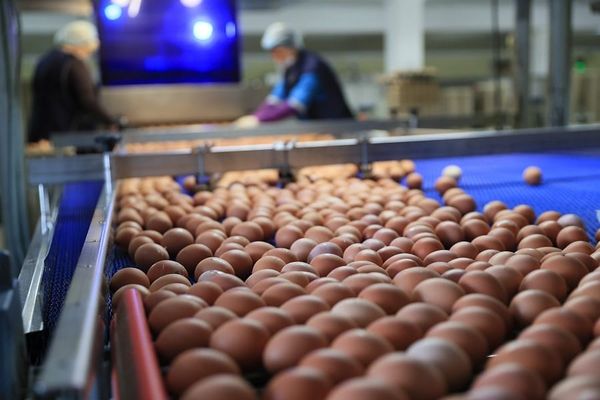 Чүйдө 78 кайра иштетүүчү ишкана жана 7 соода‑логистикалык борбор ачылат