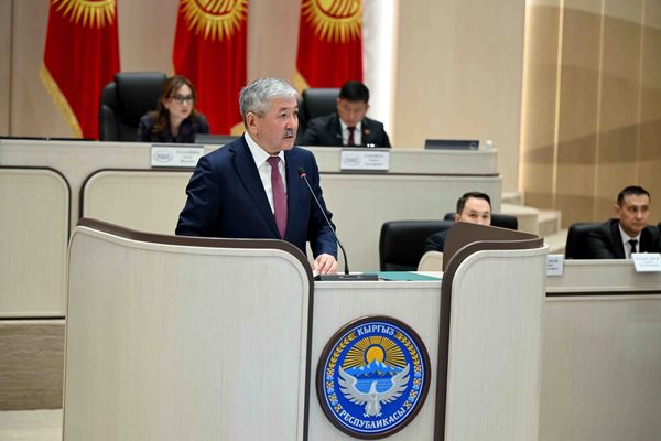 2025-жылы 715,6 млн доллар инвестиция менен 119 ишкана ишке киргизилди