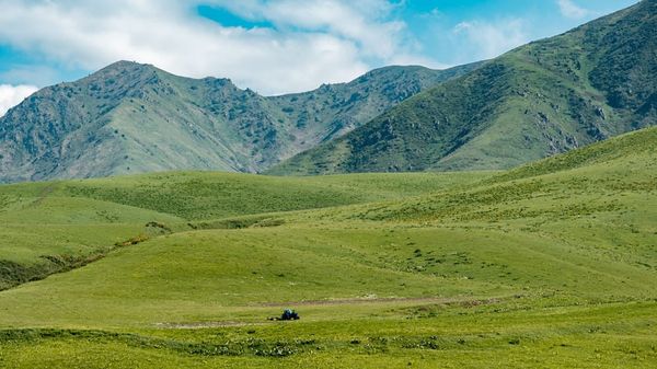Нарын облусунда жайыттарды башкарууда жаңы концепция сунушталды