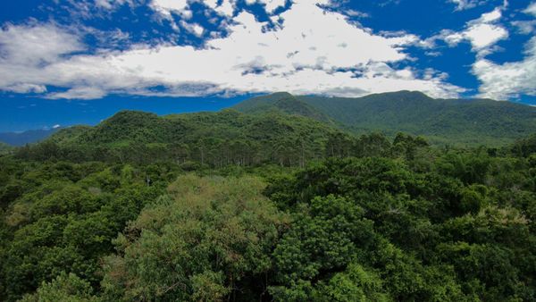 Жаратылыш ресурстары министрлиги 525 гектар аңчылык жерине конкурс жарыялады