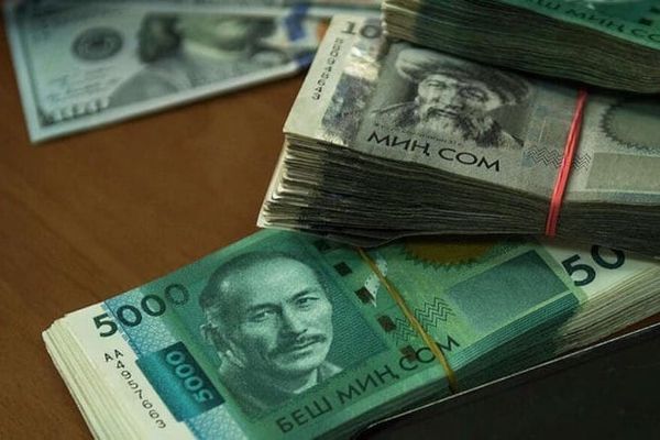 Өлкө бюджети социалдык багыттан өнүктүрүү багытына өттү