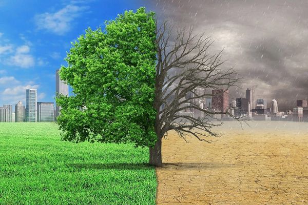 Климаттык таасирлер 2050-жылга чейин Кыргызстан ИДПсын 4%га чейин азайтышы мүмкүн