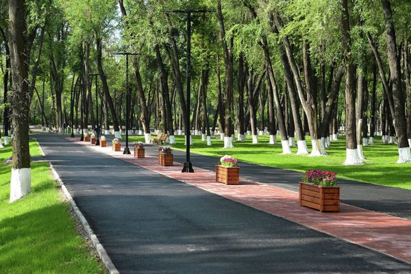 Бишкекте жашыл зоналар 2050-жылга чейин 2400 гектарга чейин кеңейтилет