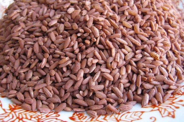 Өзбекстан быйыл Кыргызстандан 692 тонна күрүч сатып алды