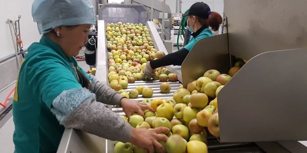 Ысык-Көлдө 66 жаңы кайра иштетүүчү ишкана жана 6 соода-логистикалык борбор ачылат