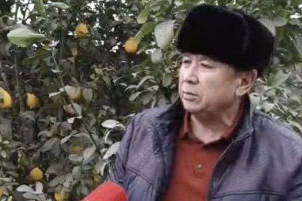 Аравандык ишкер 5 сотых жерден жылына 2-3 миң банка лимон ширесин өндүрүп жатат