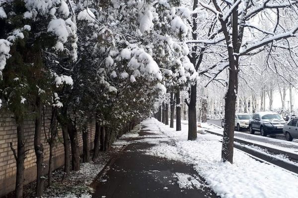 Жакынкы күндөрү Кыргызстанда кар жаашы күтүлүп жатат