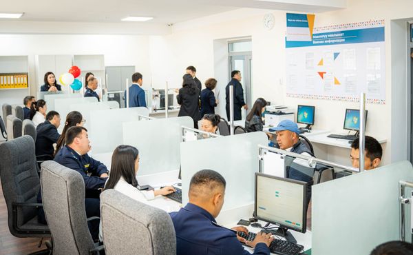 Быйыл 11 айда 1,1 млн жаранга салыктык кызмат көрсөтүлгөн