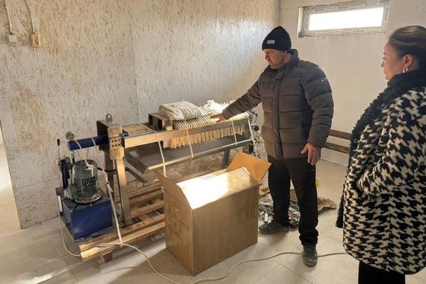 Ак-Талаада сафлор майын өндүрүүчү ишканага жаңы жабдуулар орнотулду