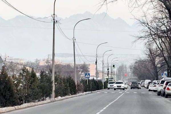 Логвиненко менен Малдыбаев көчөлөрү туташтырылышы ыктымал