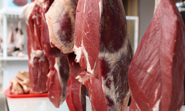 "Торугарт" көзөмөл пунктунан  21,8 тонна Пакистан уй эти өлкөгө киргизилген жок