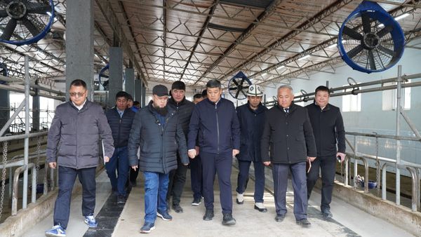 Б.Төрөбаев “Таштан” фермердик чарбасынын ишмердүүлүгү менен таанышты