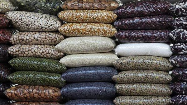 Таластын төө буурчагы Дубайга экспорттолот