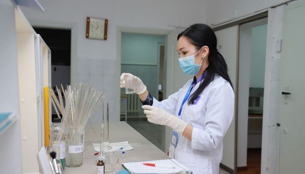 Өткөн жылы фитосанитардык талаптарды бузган 35 учур аныкталган