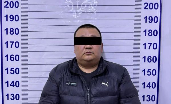 Чүйдө 7 млн сомдук ОСАГО каражатын кымырып алган чет элдик жаран кармалды