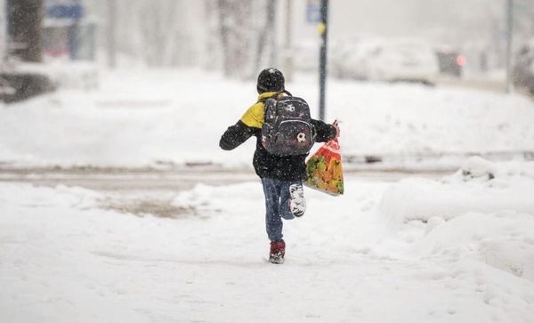 Катуу суукка байланыштуу Нарын районундагы мектептер аралыктан окууга өттү