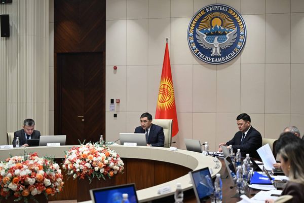 Эл аралык баалуу кагаздар рыногуна чыгуу маселеси талкууланды