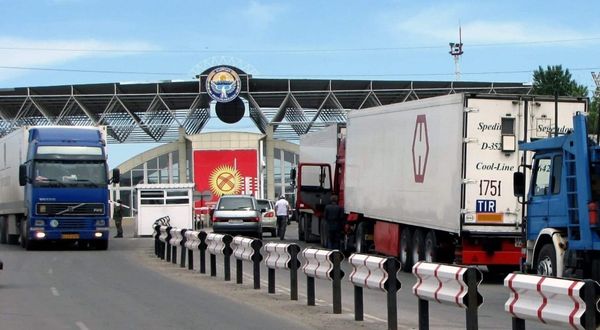 Былтыр импорттолгон жүктөрдөн 112 мыйзам бузуу фактысы катталган