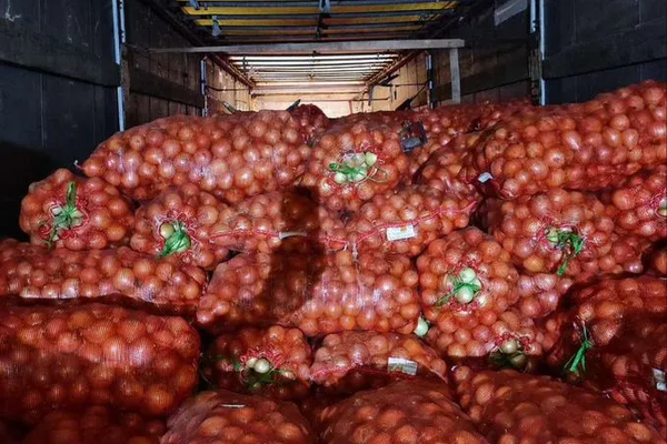 Фитосанитардык талапка жооп бербеген 26, 978 тонна пияз чек арадан өткөрүлгөн жок