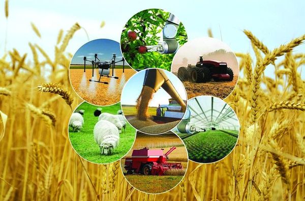 "АгроДиалог-2026": Кыргызстанда айыл чарбанын чемпиондору аныкталат