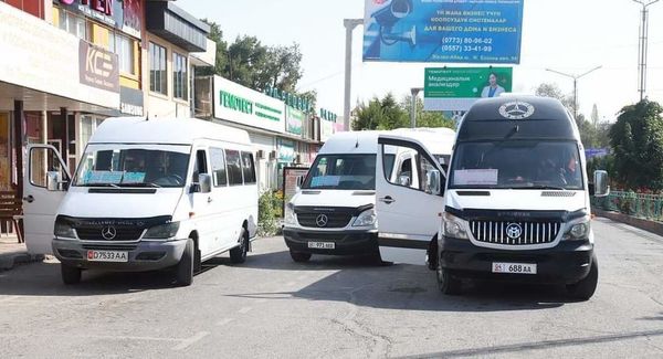 Манас шаарында маршруттук таксилер убактылуу линияга чыкты