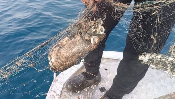 Ысык-Көлдөн 300 метр синтетикалык тор чыгарылды