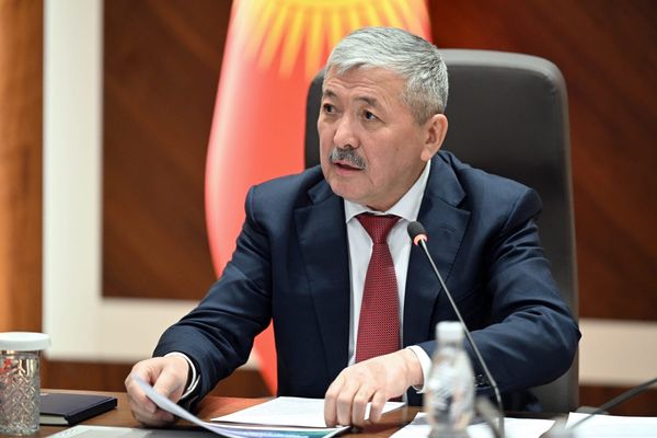 Өкмөт аймактарды бюрократиядан арылтуу реформасынын жаңы этабын баштады