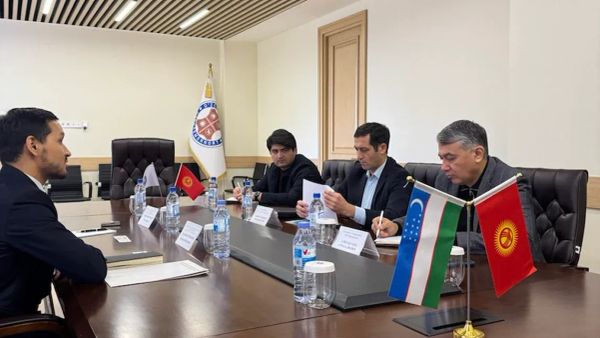 Кыргызстан Өзбекстан менен тери, жүндү кайра иштетүү боюнча кызматташат