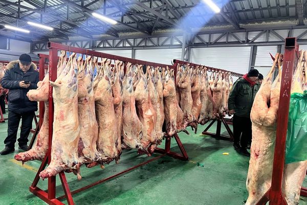 Ош базарындагы этти дүңүнөн сатчу жай "Алтын Така" базарына көчтү