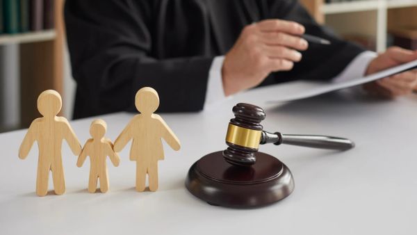 В. Путин КМШ өлкөлөрүндө алимент өндүрүү боюнча мыйзам долбоорлорун Мамдумага жиберди