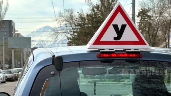 Айдоочулукка окутуу баасы 19 миң сом болот