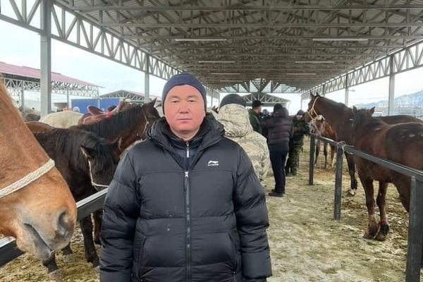 Чым-Коргон айылында жаңы мал базар ачылды