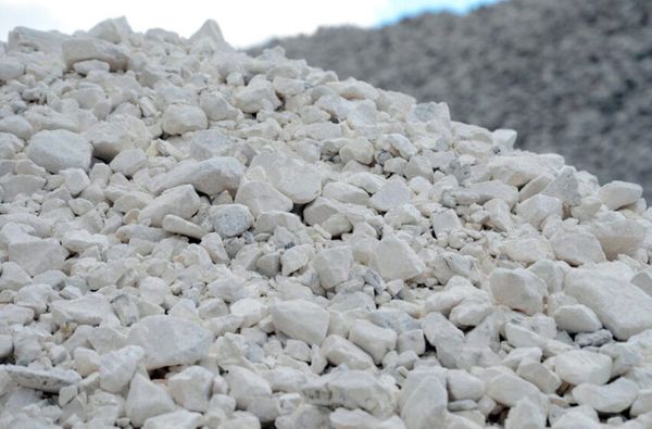 Бийлик акиташ-ракушечниктерди тышка чыгарууга тыюу салат