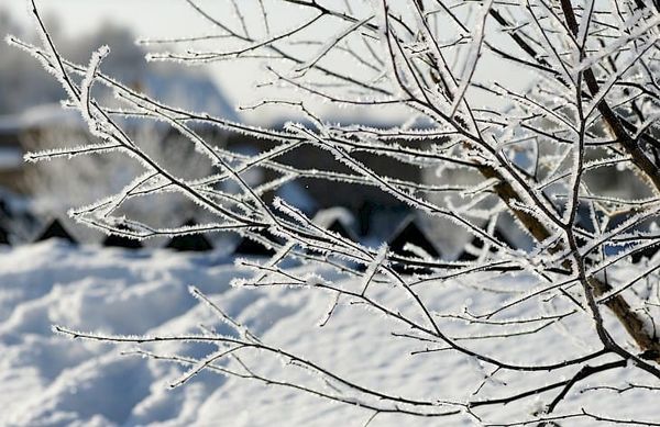 Январь айында айрым күндөрү аба ырайы айрым учурда +16 °C чейин ысып, кээде -27 °C чейин муздайт.